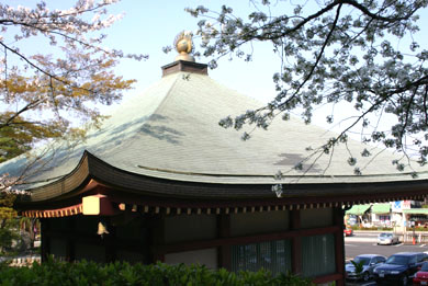 ��ʈ��S�F��a